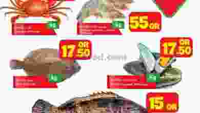 el3rod.com00001-1276