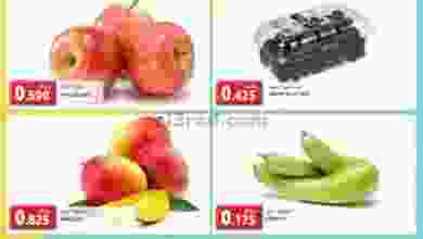 el3rod.com00001-1333