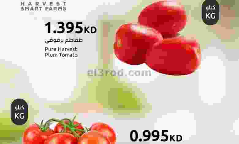 el3rod.com00001-1340