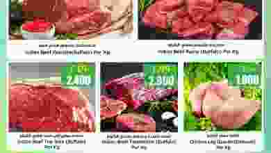 el3rod.com00001-1374