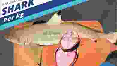 el3rod.com00001-1378