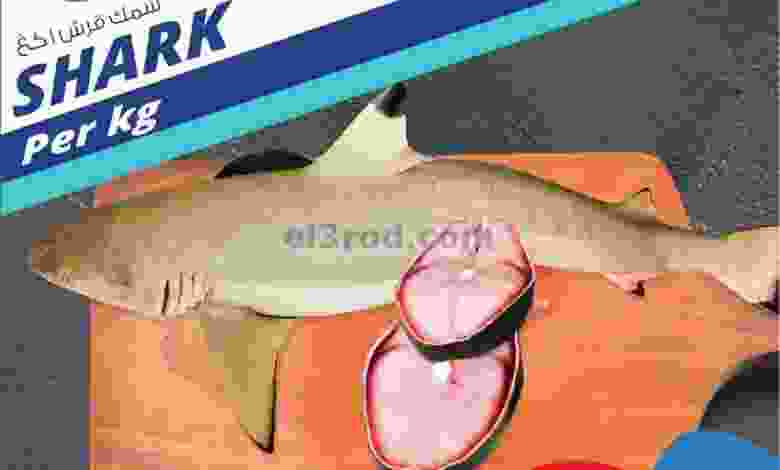 el3rod.com00001-1378