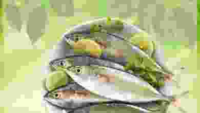 el3rod.com00001-1409