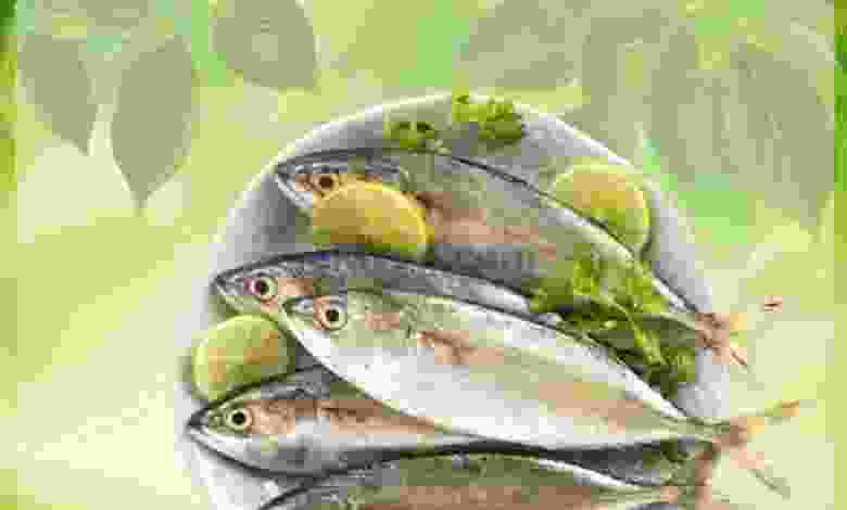 el3rod.com00001-1409