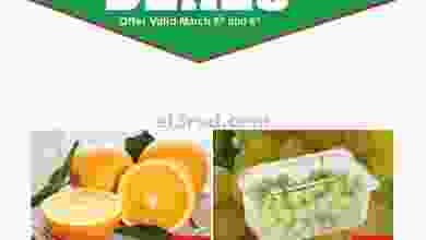 el3rod.com00001-242