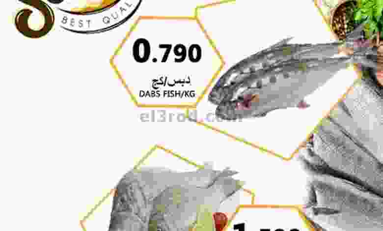 el3rod.com00001-254
