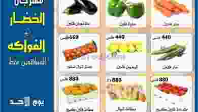 el3rod.com00001-270
