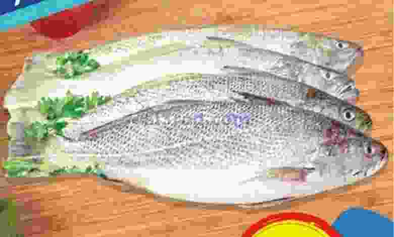 el3rod.com00001-275