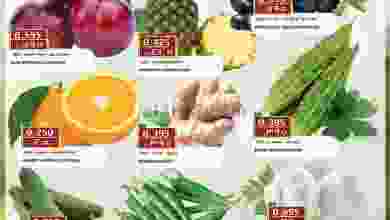 el3rod.com00001-297