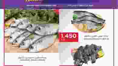 el3rod.com00001-313