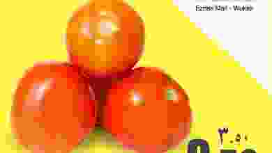 el3rod.com00001-39