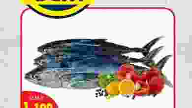 el3rod.com00001-473