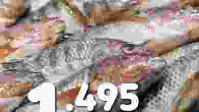 el3rod.com00001-490