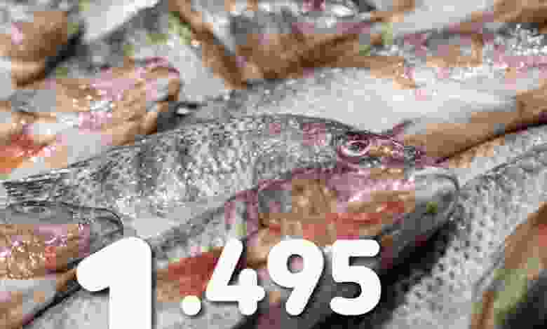 el3rod.com00001-490