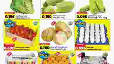 el3rod.com00001-503