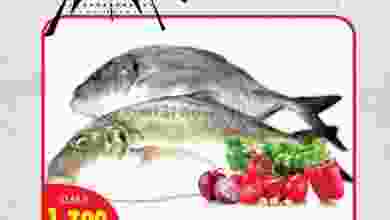 el3rod.com00001-508