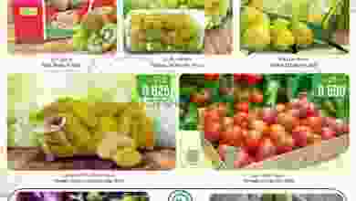 el3rod.com00001-516