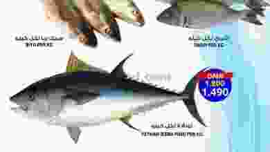 el3rod.com00001-538