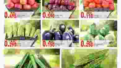 el3rod.com00001-554
