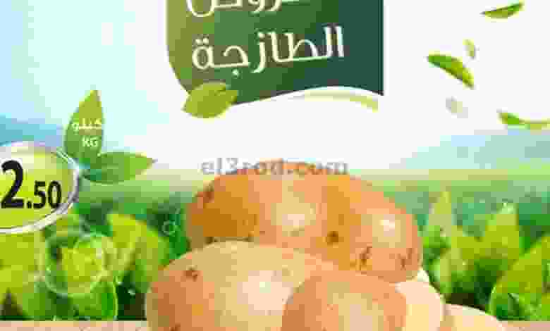el3rod.com00001-559