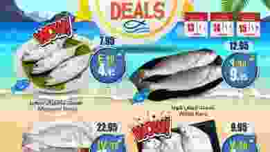 el3rod.com00001-565