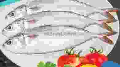 el3rod.com00001-584