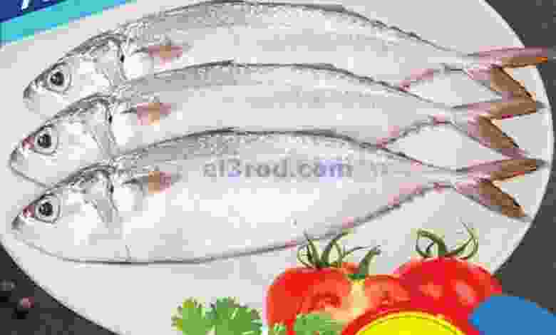 el3rod.com00001-584