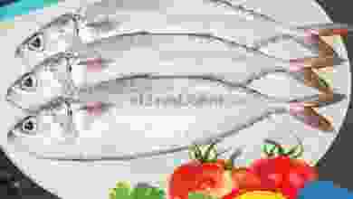 el3rod.com00001-585