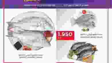 el3rod.com00001-613