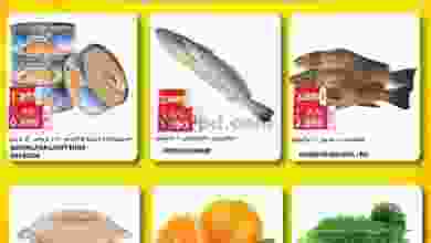 el3rod.com00001-617