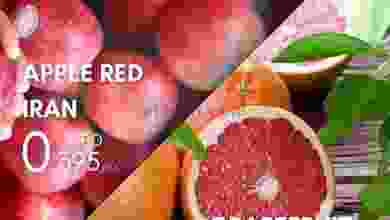 el3rod.com00001-62