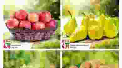 el3rod.com00001-689