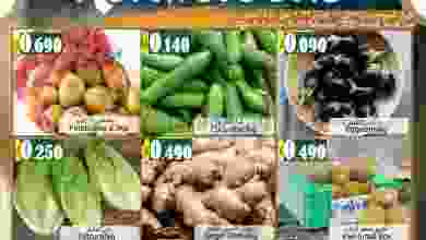 el3rod.com00001-788