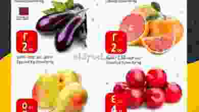el3rod.com00001-874