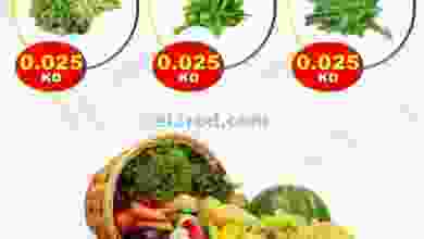 el3rod.com00001-918