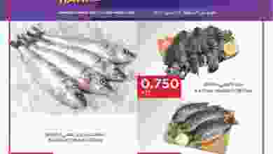 el3rod.com00001-946