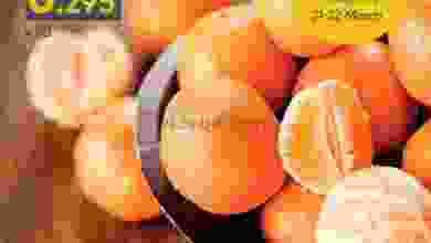 el3rod.com00001-963