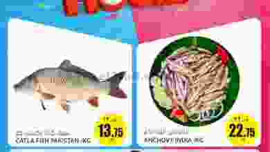 el3rod.com00001-975