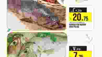 el3rod.com00002-1028
