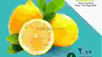 el3rod.com00002-254