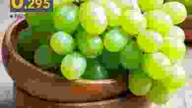 el3rod.com00002-373