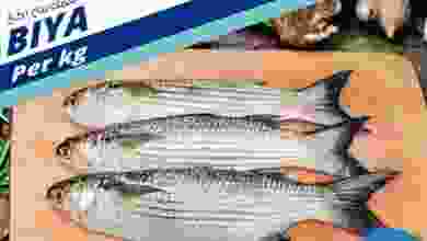 عروض الصفا العامرات قرم ضنك معبيلة|حتى 23-3-2022 el3rod.com00002-805
