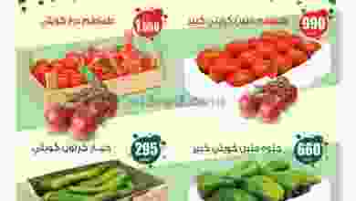 el3rod.com00004-352