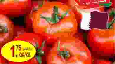 el3rod.com00004-587