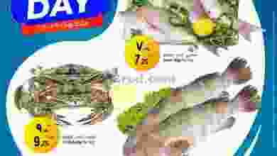 el3rod.com00004-770