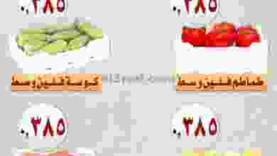 el3rod.com00006-149