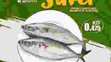 el3rod.com00007-239