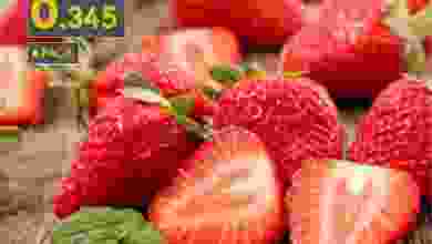 el3rod.com00009-467