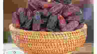 el3rod.com00014-361