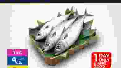 278043541_4991234150943014_2961179975217805356_n